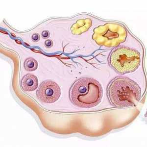 2026长春私立助孕中心试管缴费流程：揭秘代生与借卵支出的多种方案