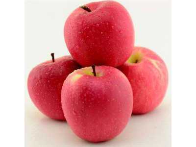 北京试管婴儿费用详细清单：全流程解析与高龄生子助孕指南